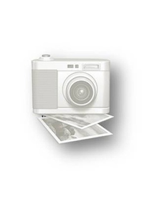 samson and delilah statue